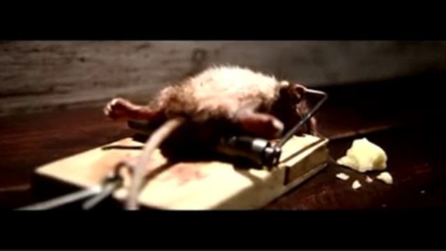 забавная реклама ).avi смотреть онлайн
