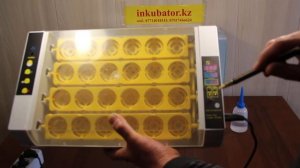 Видеоролик на инкубатор на 24 яйца (русский текст)