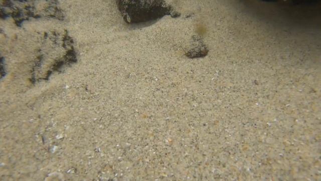 Playa Agua Blanca, Oaxaca. ? смотреть онлайн