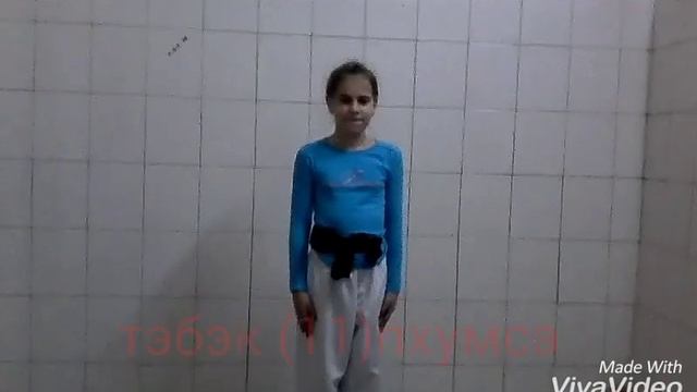 Введение в Каратэ