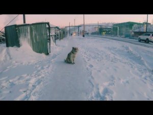 Самый холодный поселок в мире,Россия,Якутия,крайний север,Батагай