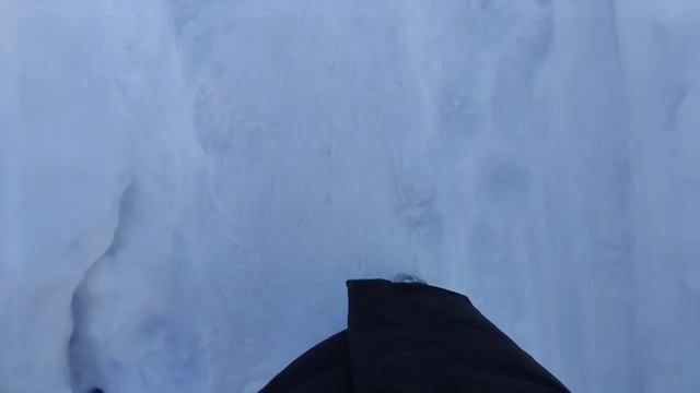 Влог: 23 февраля/отдых,природа🌳🎀