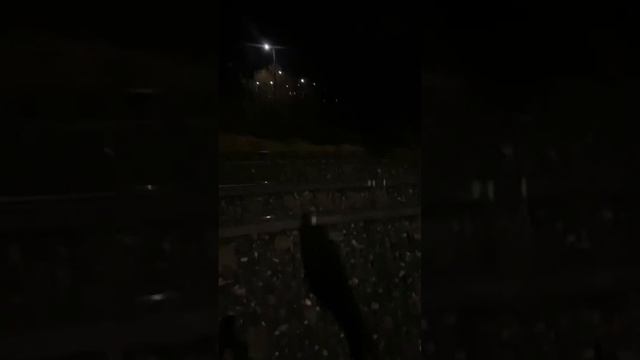 #поезда электро поезд дальнего следования смотреть онлайн