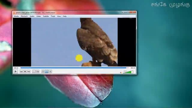 15 Best Short Cuts Key for VLC Media Player in Tamil | VLC Medai Player | Sanke Muzangu смотреть онлайн