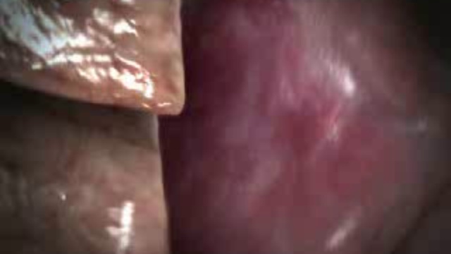 Борьба за жизнь .Средний возраст смотреть онлайн