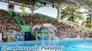 ТОП МЕСТ В СОЧИ КУДА СХОДИТЬ С РЕБЕНКОМ. ОТДЫХ В СОЧИ С ДЕТЬМИ