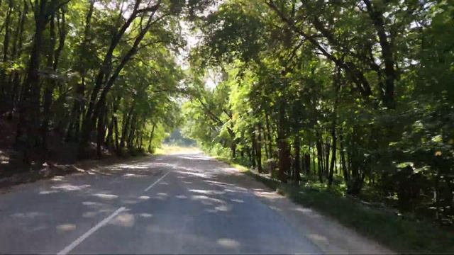 Село Богатырь смотреть онлайн