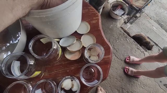 Маринуємо часник на зиму. Простий рецепт. Зуб дракона. смотреть онлайн