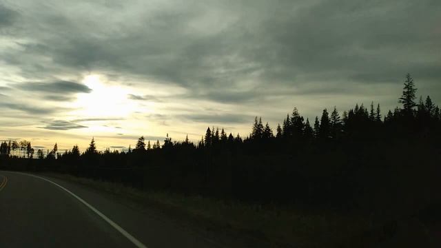 12. У подмосковной лужи романс М. Кочетков смотреть онлайн