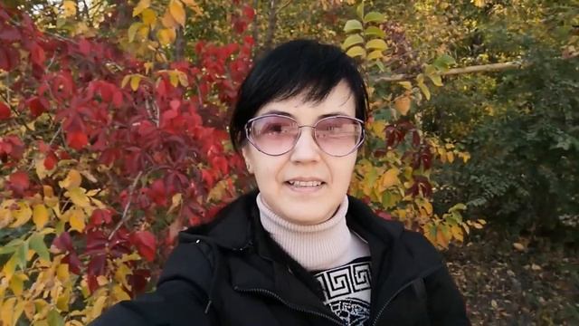 Больница Святой Софии смотреть онлайн