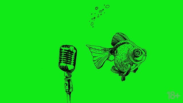 Футаж рыба с микрофоном смотреть онлайн