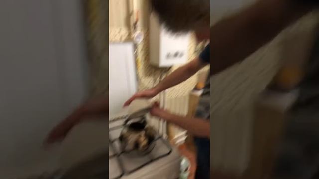 Как сварить кофе рецепт от Podmishkin смотреть онлайн