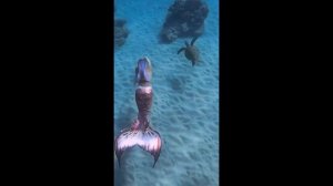 РУСАЛКИ СУЩЕСТВУЮТ!!!