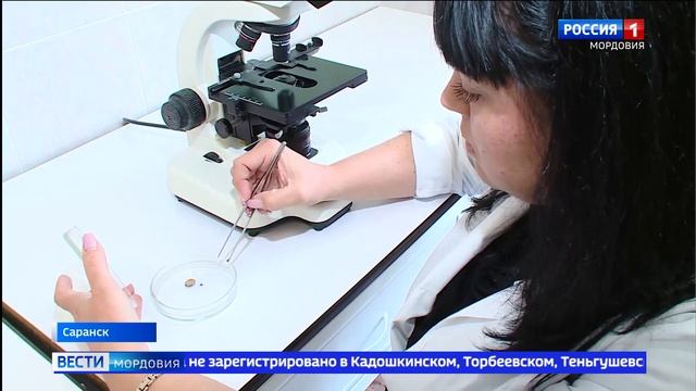 В Мордовии обнаружили энцефалитных клещей