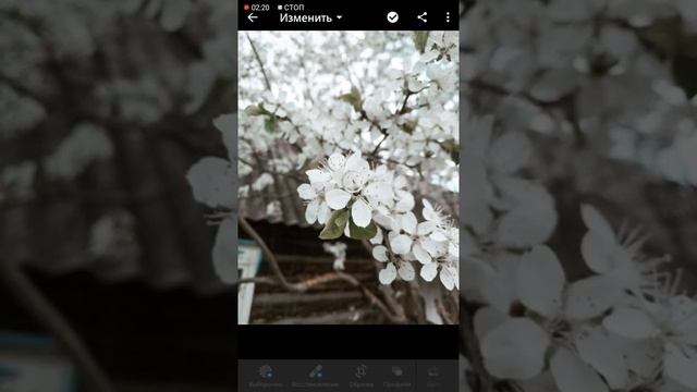 Как использовать пресеты смотреть онлайн