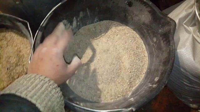 Как удешевить корм для перепелов? Легко! смотреть онлайн