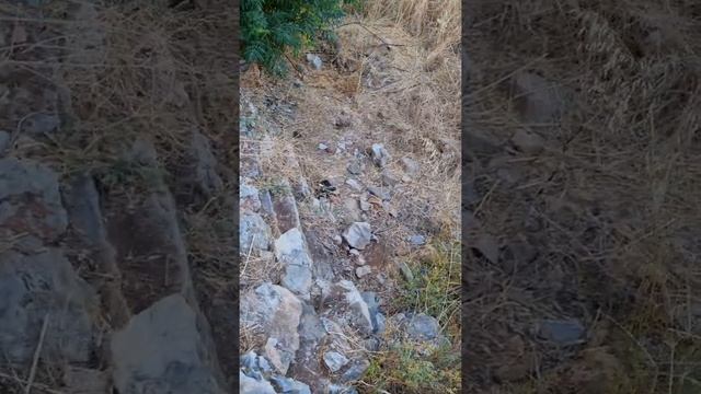 Древности Газипаши, Византийские развалины смотреть онлайн