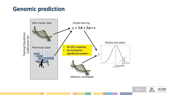 6.22.2020 EiB/GOBii BrAPI Fieldmap & Genomic prediction in Andean Common bean смотреть онлайн