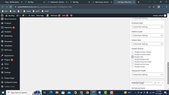 How to hide page title in astra wordpress theme смотреть онлайн