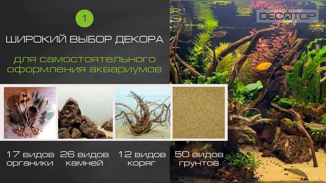 Как красиво оформить аквариум? смотреть онлайн