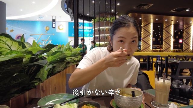 SUB【海外生活】ホーチミン7区大型ショッピングモール散策やタイ料理。最後はGong chaでソフトクリーム/ BIG SHOPPING MALL in VIETNAM!【4K】! смотреть онлайн
