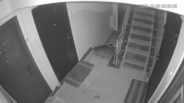 Что засняла подъездная камера??? смотреть онлайн