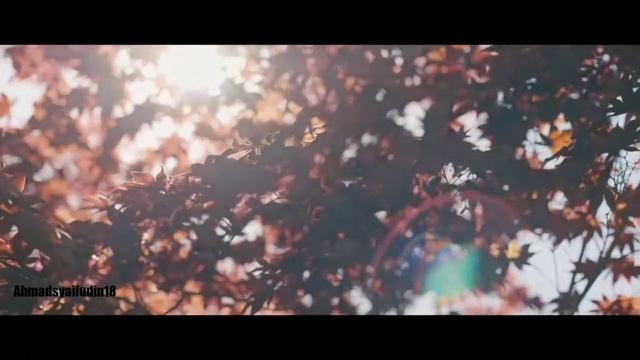 Official cinematic ! With Fujifilm HS - 25EXR смотреть онлайн