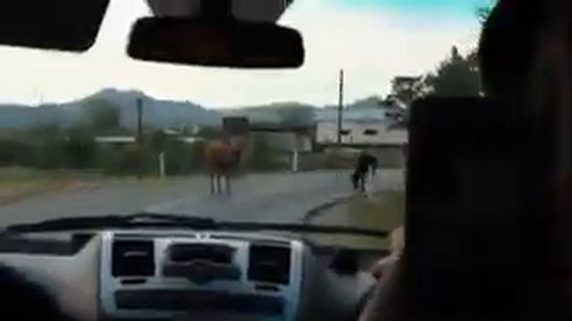 Грузия 2018год