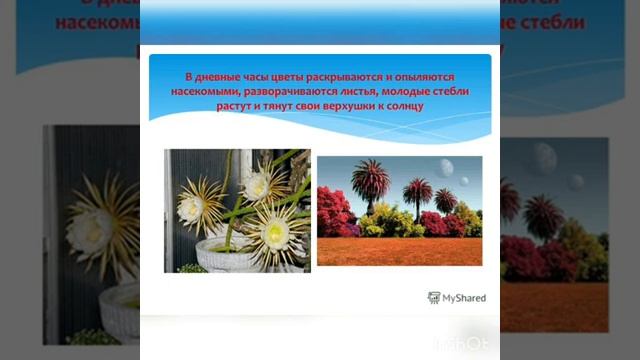 День и ночь 1 класс