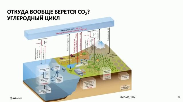 Алексей Екайкин. Лекция «Каким будет климат Земли» смотреть онлайн