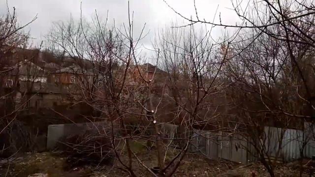 Обрезка вишни Формировка кроны небольших деревьев смотреть онлайн