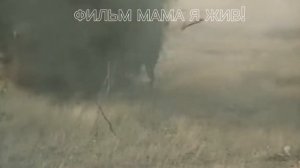 фильм мама я жив