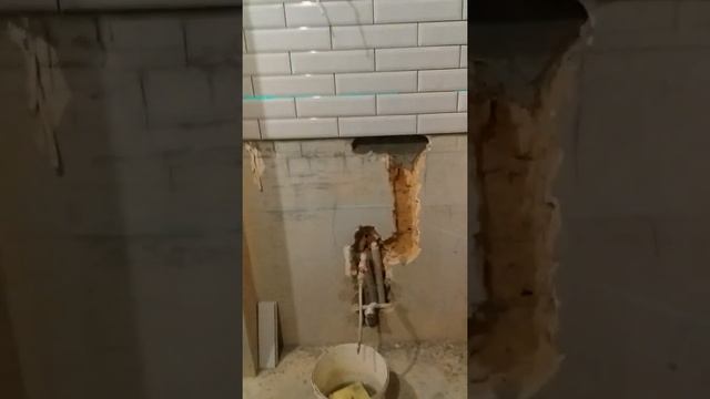 Кабанчик в ванне смотреть онлайн
