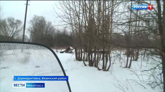 В Хабаровском крае к людям вышел очередной конфликтный тигр смотреть онлайн