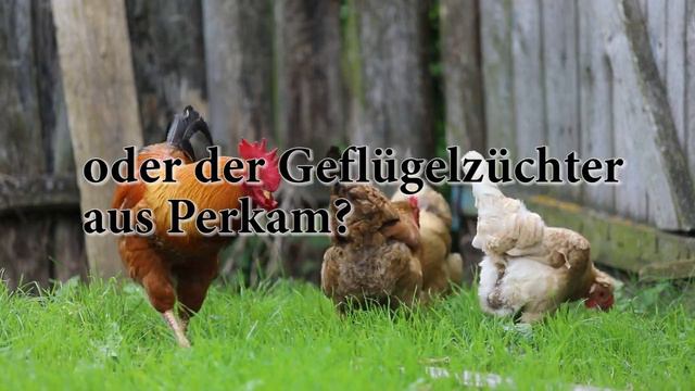 Tod einer Zwiderwurzn - ein Niederbayernkrimi смотреть онлайн