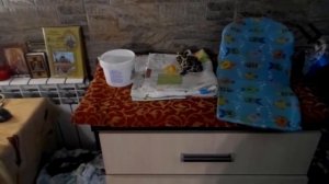 Vlog/обзор на новую комнату для куклы реборн/реборн Миa/reborn Mia/6.08.2019гг