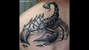 Значение татуировки скорпион