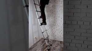 Лестница телескопическая WORKY