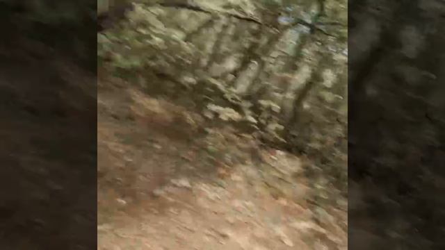 #спорт #квадроцикл #эндуро #лето #питбайки смотреть онлайн