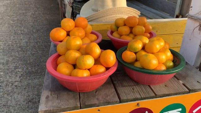 ОСТРОВ ЧЕДЖУ ДЕНЬ 2/ Jeju Island Tour