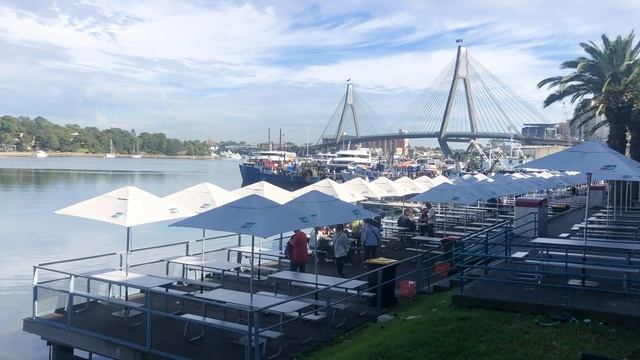 50 Things To Do In Sydney смотреть онлайн