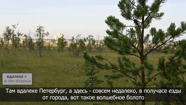 Intermediate Russian Video Sketches: Рассвет, болото, паутина смотреть онлайн