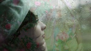 Ромашки, розы, васильки