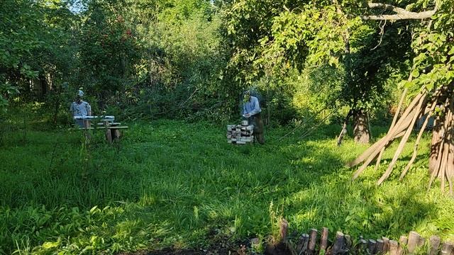 Урожай картофеля на проекте М.Лужки. 06082023.