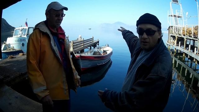 ШОКИРУЮЩАЯ ПРАВДА О ЧЁРНОМ МОРЕ ИЛИ КАК В НАШИ ДНИ ДЕЛАЮТ НОВОСТИ. ВСЯ ПРАВДА ПРО РАПАНУ ЧАСТЬ 2 смотреть онлайн