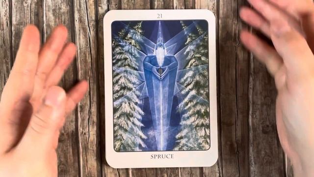 Breathtakingly beautiful! | The Tree Angel Oracle Deck walkthrough смотреть онлайн