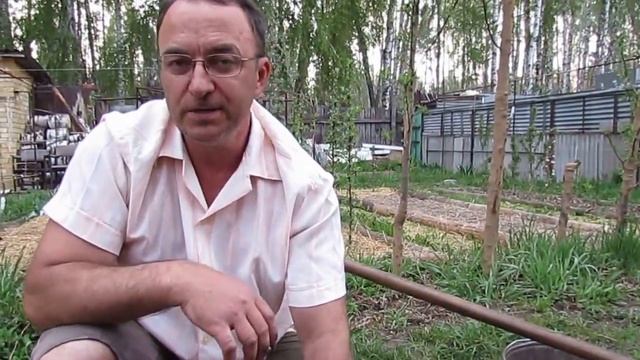 Соотношение гумуса и мульчи в коробах делянок... смотреть онлайн