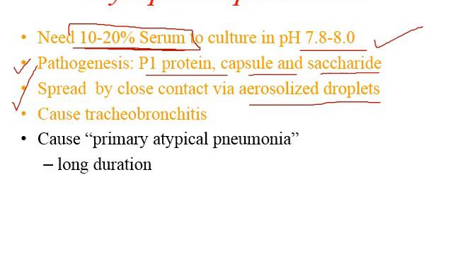Chapter 9 Mycoplama & Ureaplasma смотреть онлайн