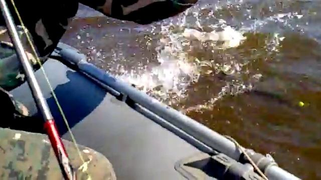 Как поймали большую ЩУКУ !!!!!!!!!!! ТРОФЕЙ !!!!!!!!!!!! смотреть онлайн