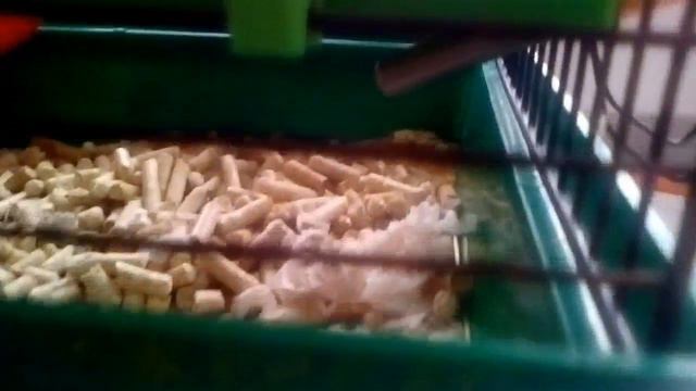 Как живёт мой хомяк/клетка Джесси смотреть онлайн